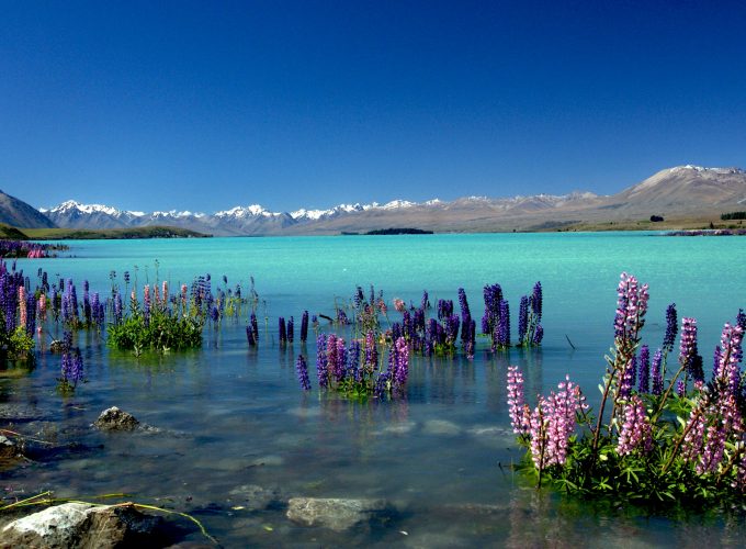 Wallpaper Lake Tekapo, New Zealand, mountains, 4k, Travel 956031881